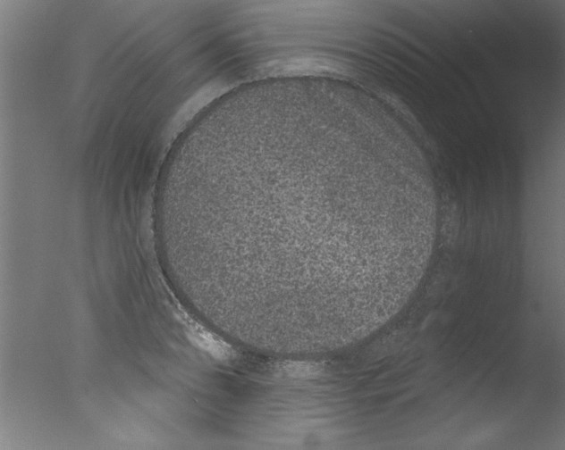 X0000076101086200610202129