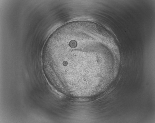 X0000076101087200610202129