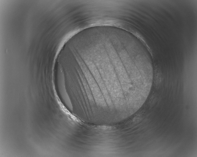 X0000076101088200610202129