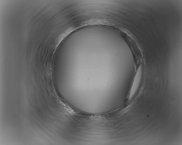 X0000076101089200610202129