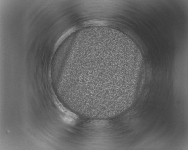 X0000076101090200610202129