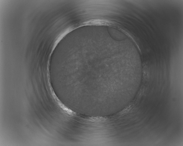 X0000076101091200610202129