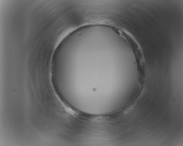 X0000076101093200610202129