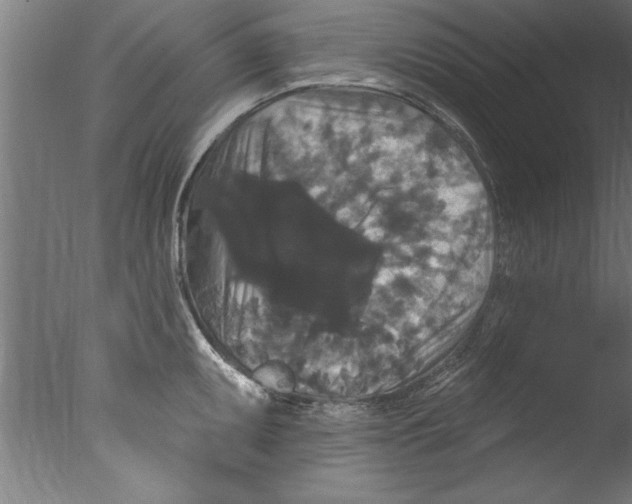 X0000076101095200610202129