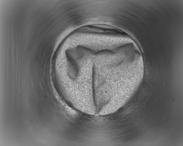 X0000076101096200610202129