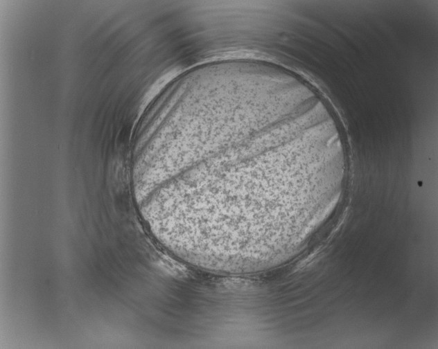 X0000076101097200610202129