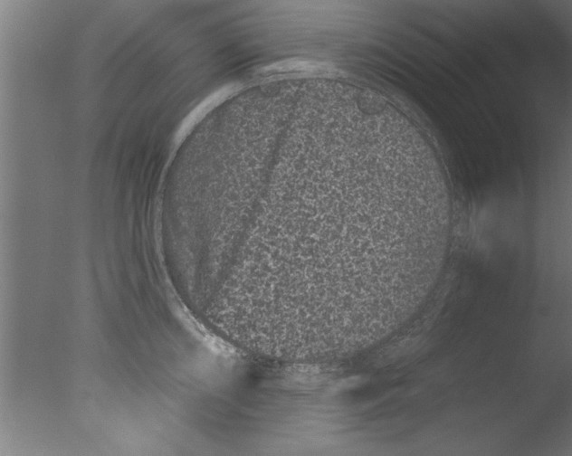 X0000076101098200610202129