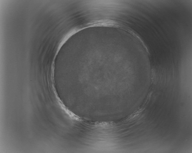 X0000076101099200610202129