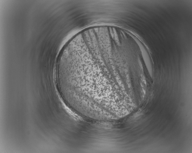 X0000076101101200610202129