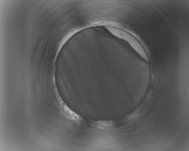 X0000076101102200610202129