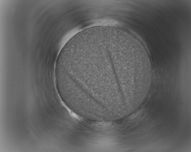 X0000076101103200610202129