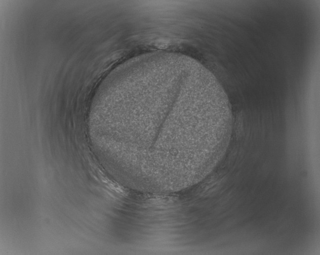 X0000076101105200610202128