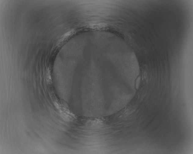 X0000076101106200610202128