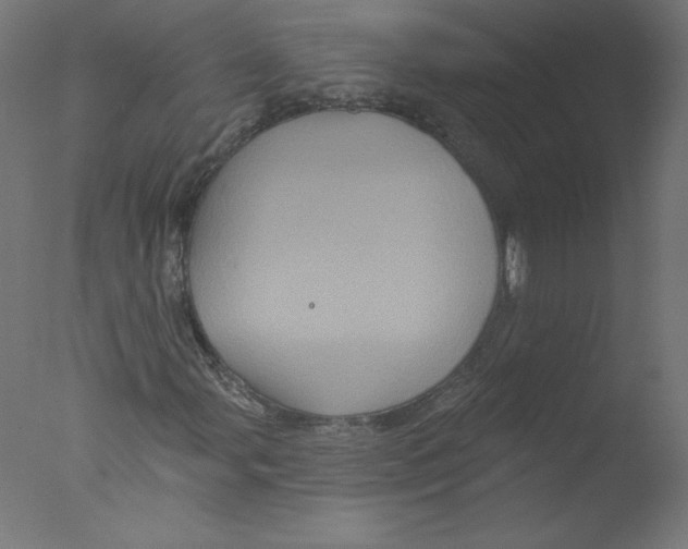 X0000076101107200610202128