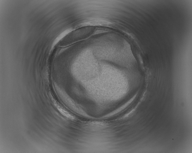 X0000076101114200610202128