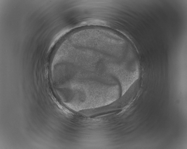 X0000076101115200610202128