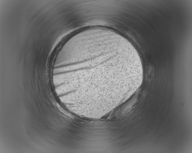 X0000076101116200610202128