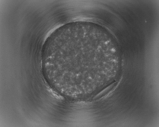 X0000076101117200610202128