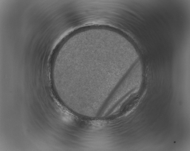 X0000076101118200610202128