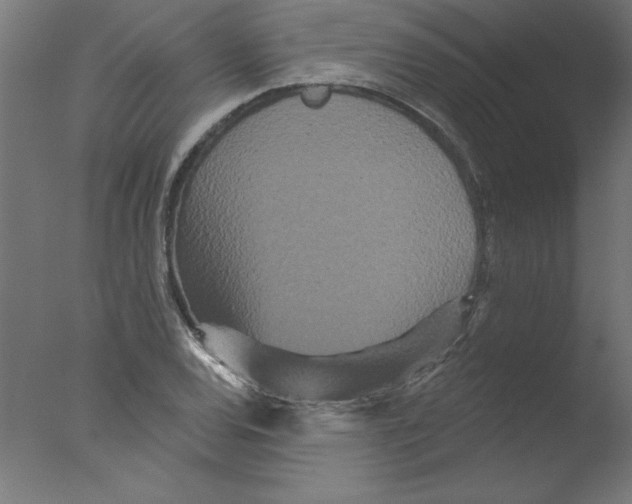 X0000076101120200610202128