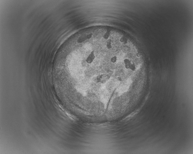 X0000076101121200610202128