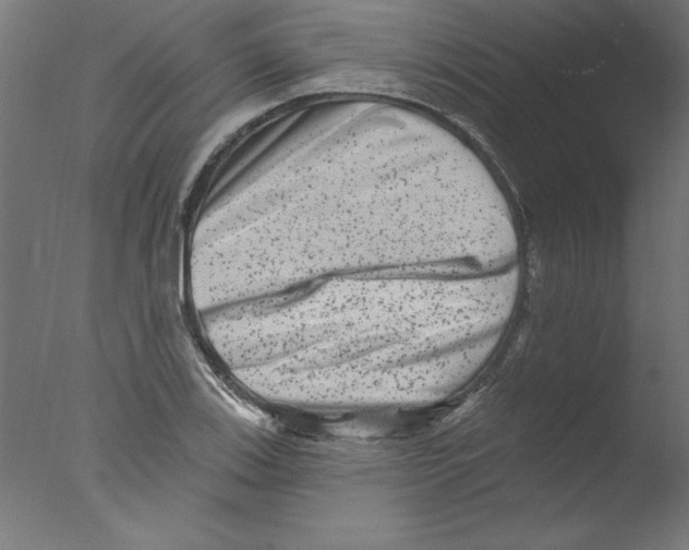 X0000076101123200610202129