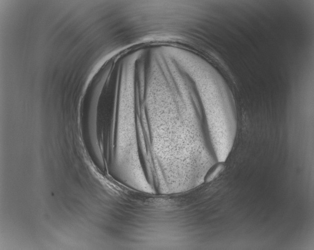 X0000076101124200610202129