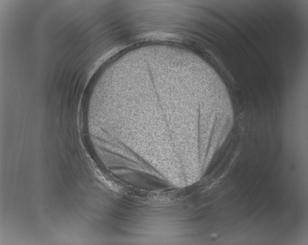 X0000076101125200610202129