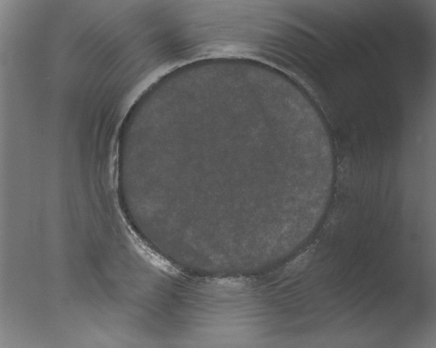 X0000076101126200610202129