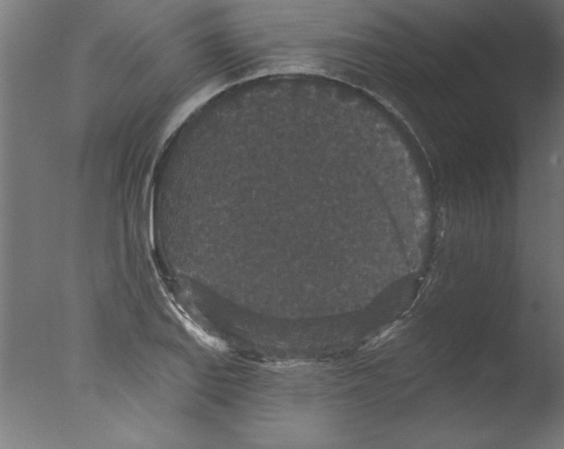 X0000076101127200610202129