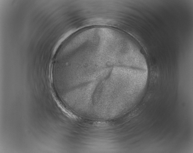 X0000076101128200610202129