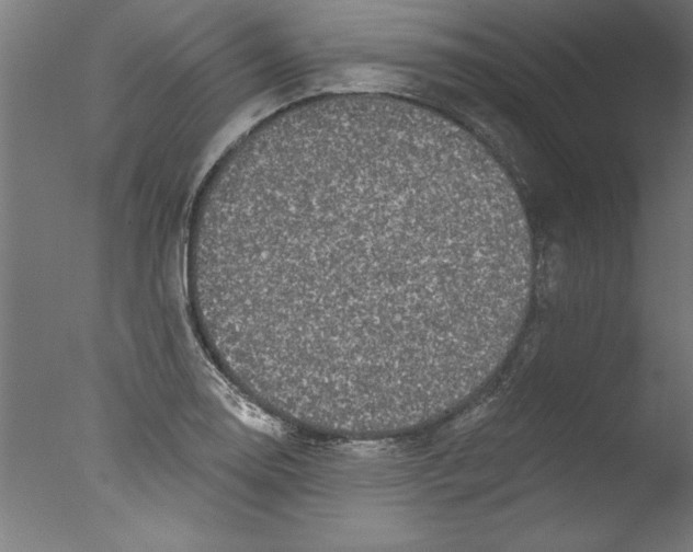 X0000076101130200610202129