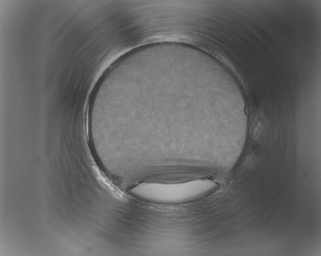 X0000076101132200610202129