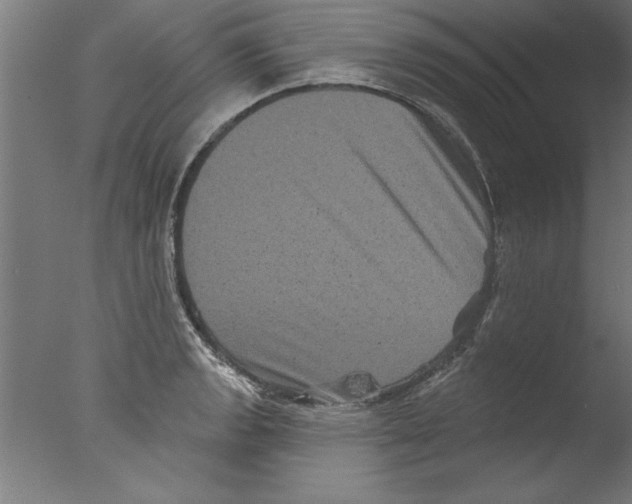 X0000076101133200610202129