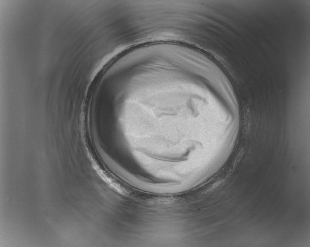 X0000076101134200610202129