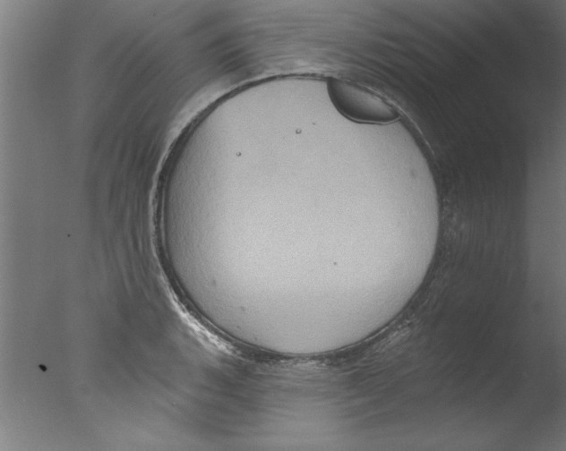 X0000076101135200610202129