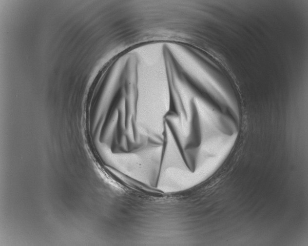 X0000076101136200610202129