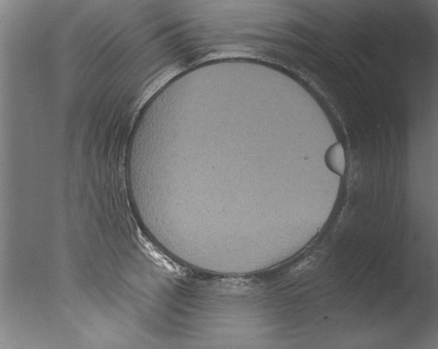 X0000076101137200610202129