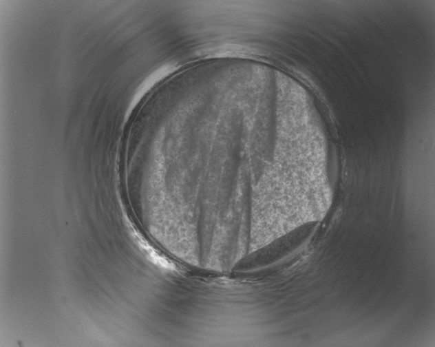 X0000076101138200610202129