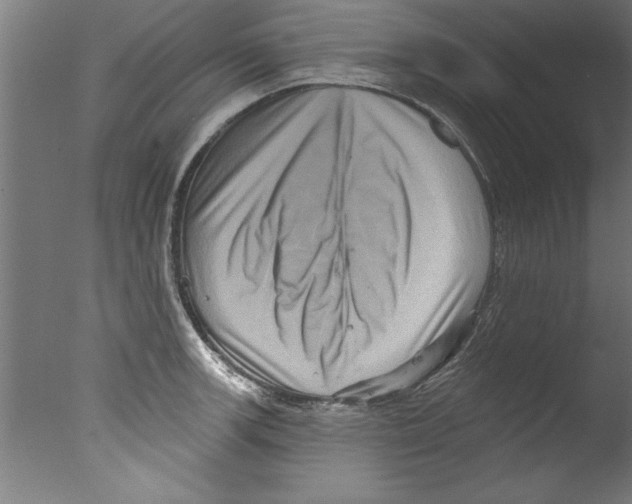 X0000076101139200610202129