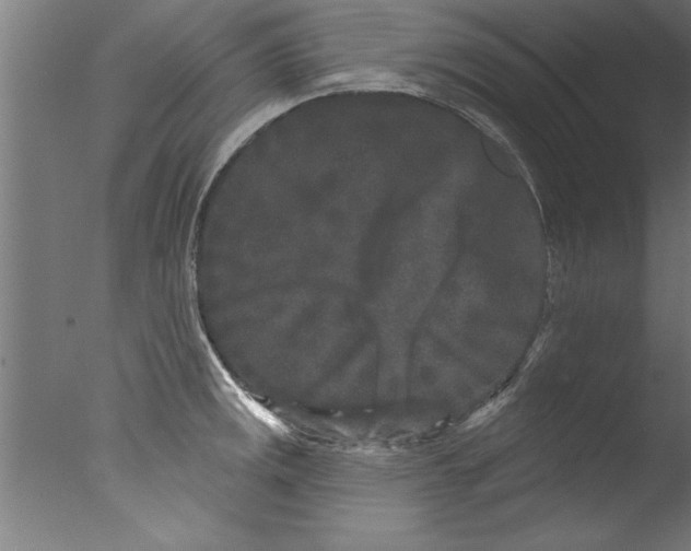 X0000076101141200610202129