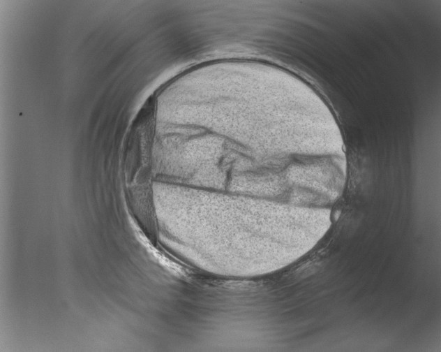 X0000076101142200610202129