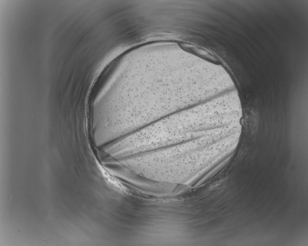 X0000076101143200610202129