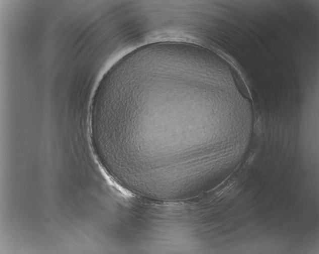 X0000076101144200610202129