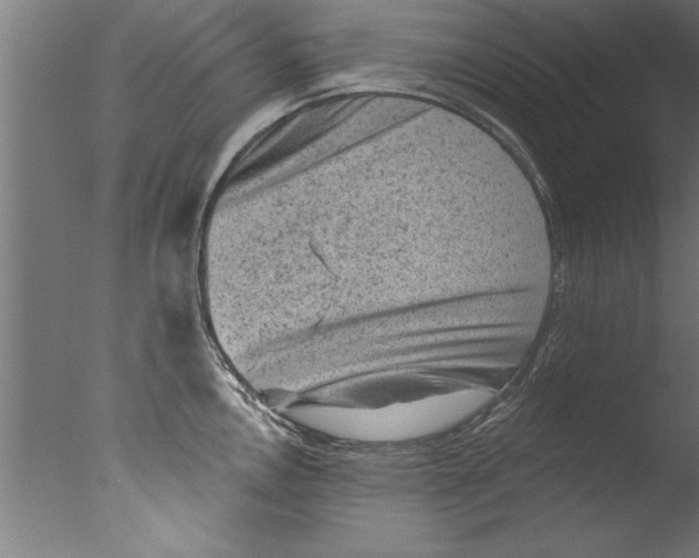 X0000076101146200610202129