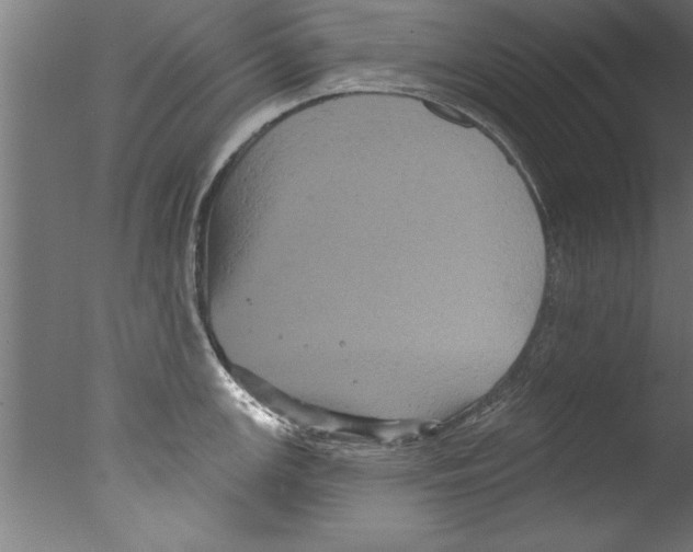 X0000076101147200610202129