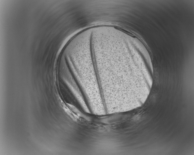 X0000076101148200610202129