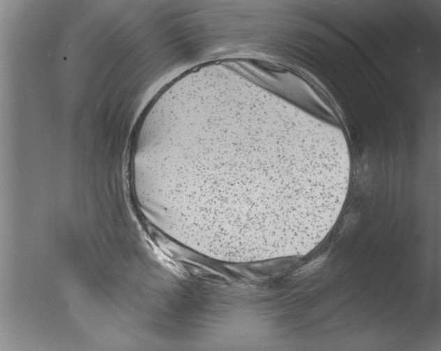 X0000076101149200610202129