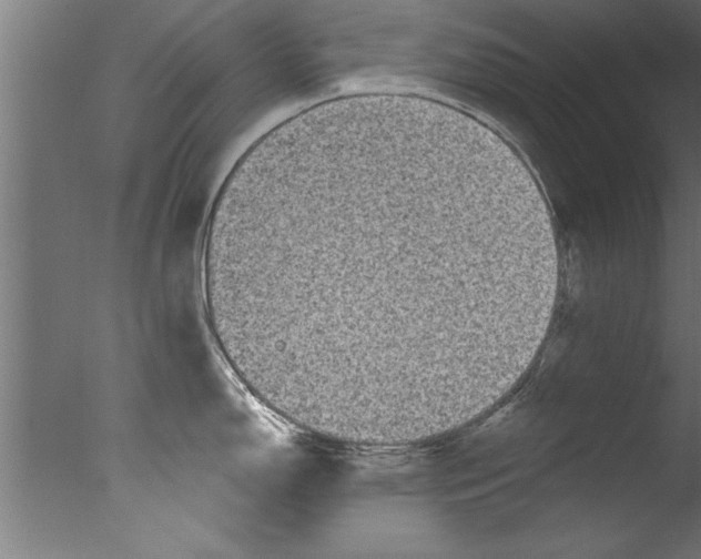 X0000076101150200610202129