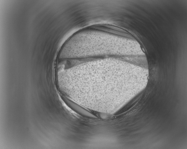 X0000076101151200610202129